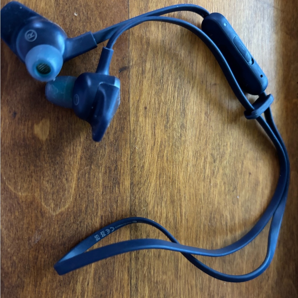 ‼️ SALE ☃️‼️ Fitbit Flyer Bluetooth In-Ear Wireless Headphones